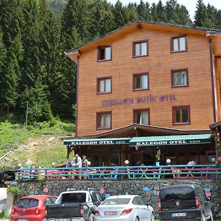 Otel Kalegon Ayder Yaylası